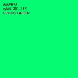 #06FB75 - Spring Green Color Image
